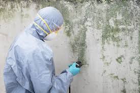 Best Mold Odor Removal Services  in Kodi Station, AK